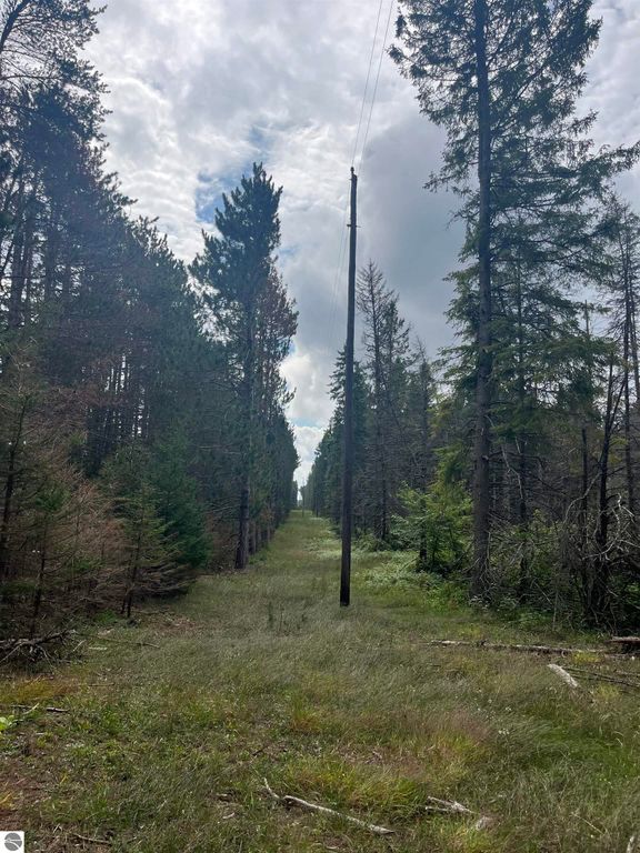 Image 13 of property listing at Maple City Highway, Lake Ann, MI 49650