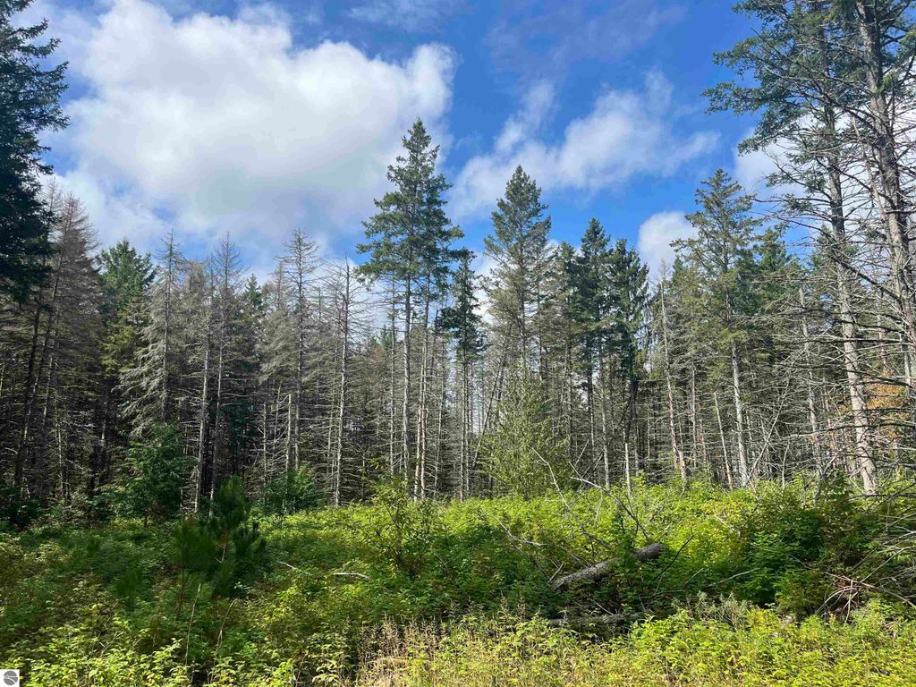 Image 2 of property listing at Maple City Highway, Lake Ann, MI 49650