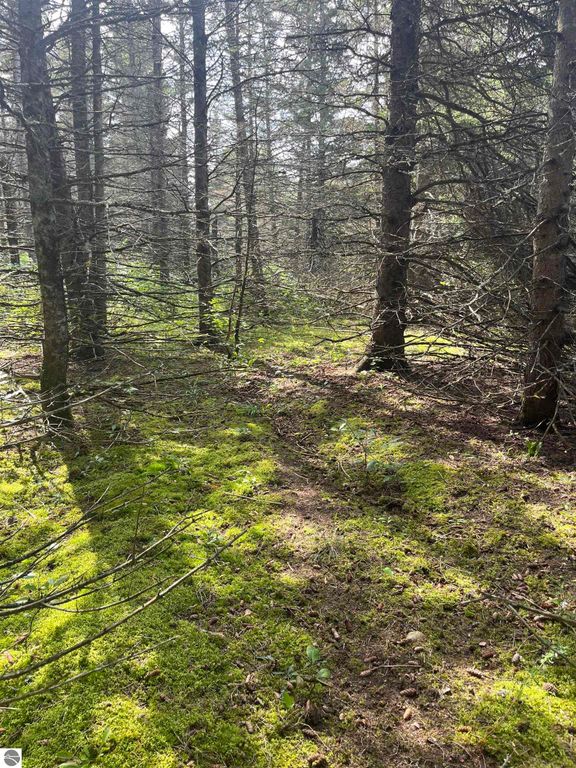 Image 3 of property listing at Maple City Highway, Lake Ann, MI 49650