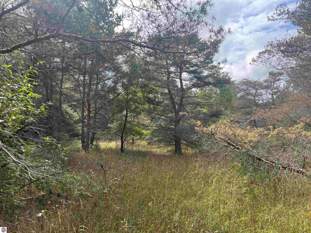 Image 4 of property listing at Maple City Highway, Lake Ann, MI 49650