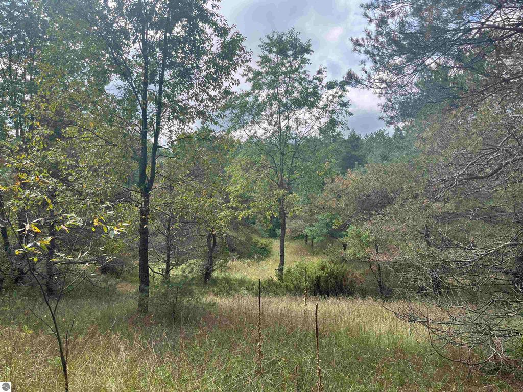 Image 5 of property listing at Maple City Highway, Lake Ann, MI 49650