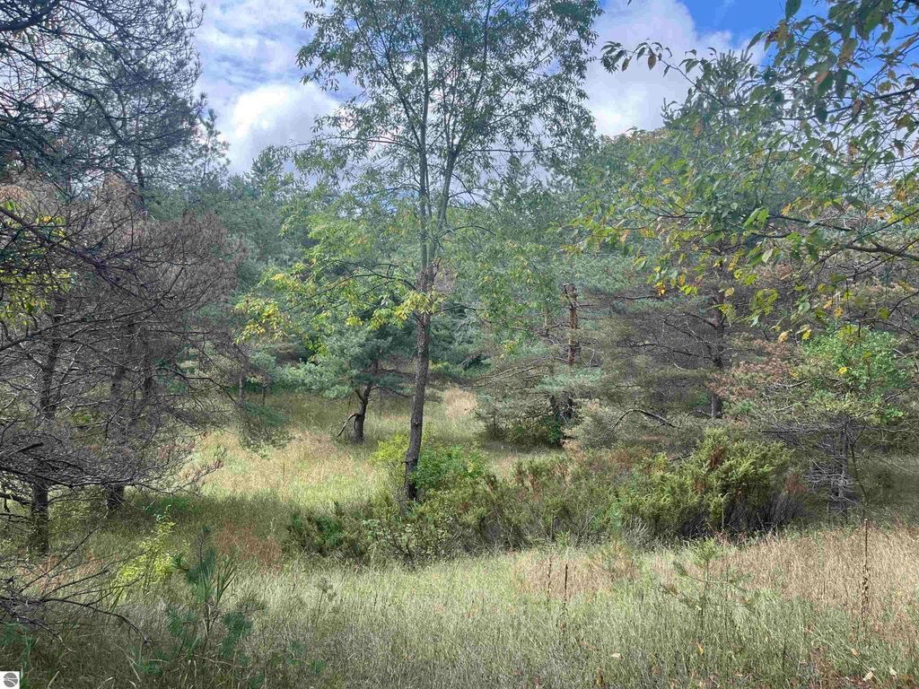 Image 6 of property listing at Maple City Highway, Lake Ann, MI 49650