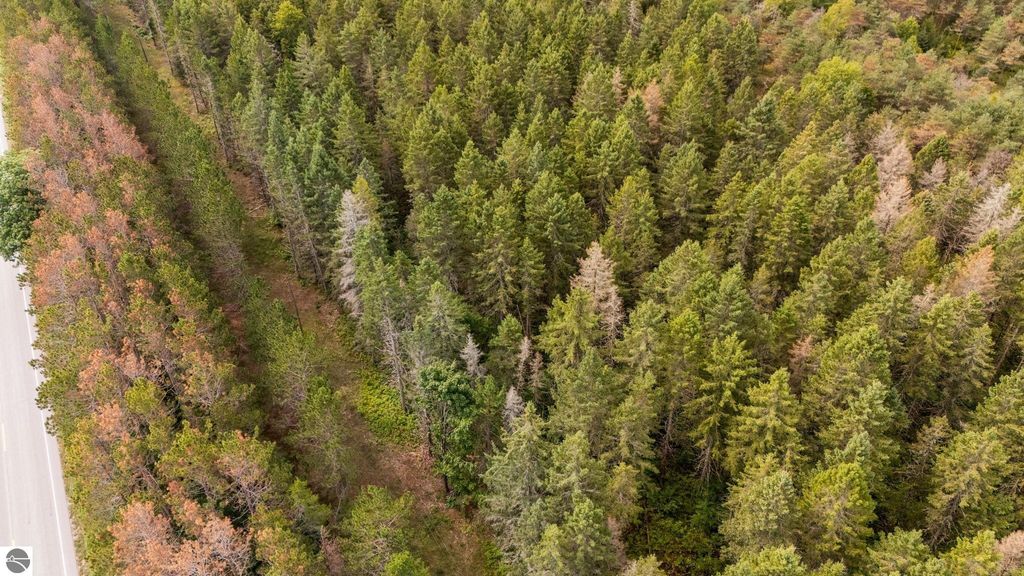 Image 8 of property listing at Maple City Highway, Lake Ann, MI 49650