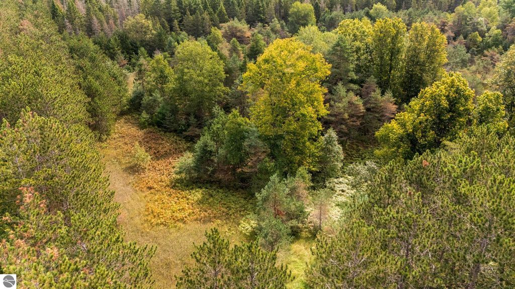 Image 9 of property listing at Maple City Highway, Lake Ann, MI 49650