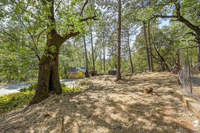 15851 Mcelroy Rd, Meadow Vista, CA 95722