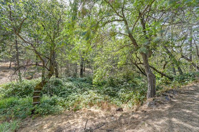 15851 Mcelroy Rd, Meadow Vista, CA 95722