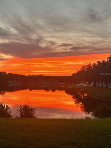 18022 LAKE REFLECTIONS BOULEVARD, Lutz, FL 33558