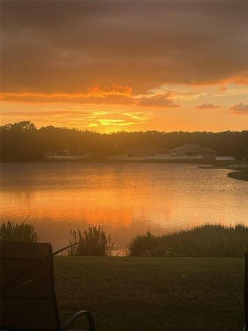 18022 LAKE REFLECTIONS BOULEVARD, Lutz, FL 33558