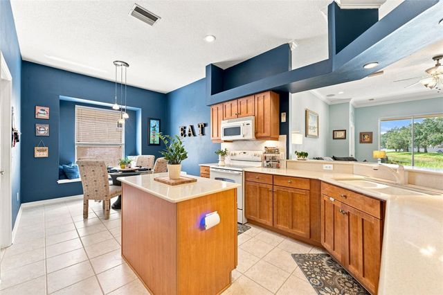 18022 LAKE REFLECTIONS BOULEVARD, Lutz, FL 33558