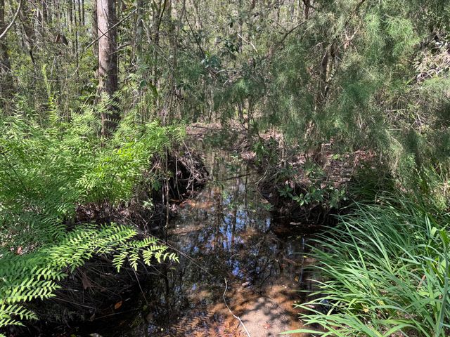 190 Meadowbrook Lane, Defuniak Springs, FL 32435