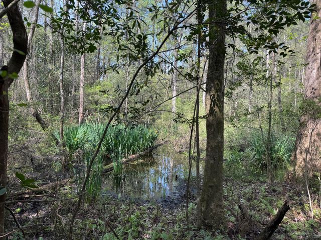 190 Meadowbrook Lane, Defuniak Springs, FL 32435