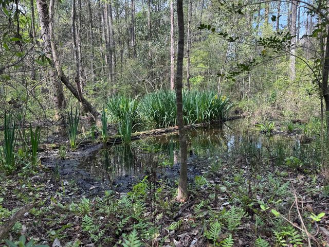 190 Meadowbrook Lane, Defuniak Springs, FL 32435