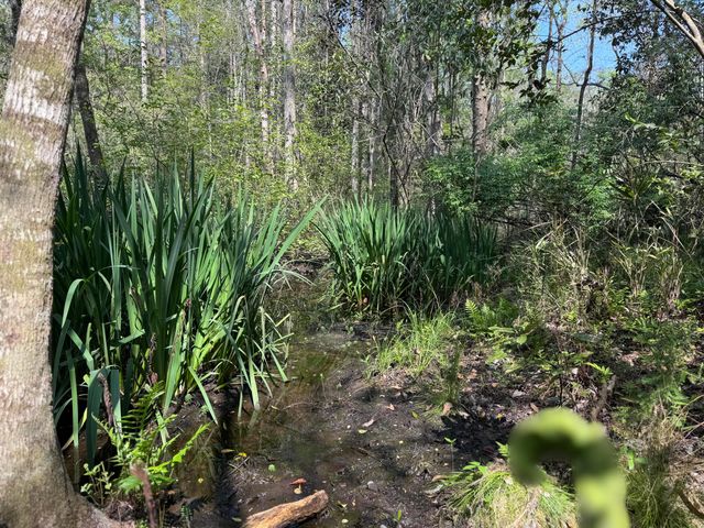 190 Meadowbrook Lane, Defuniak Springs, FL 32435