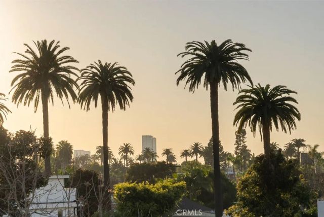 2619 S Rimpau Blvd, Los Angeles, CA 90016