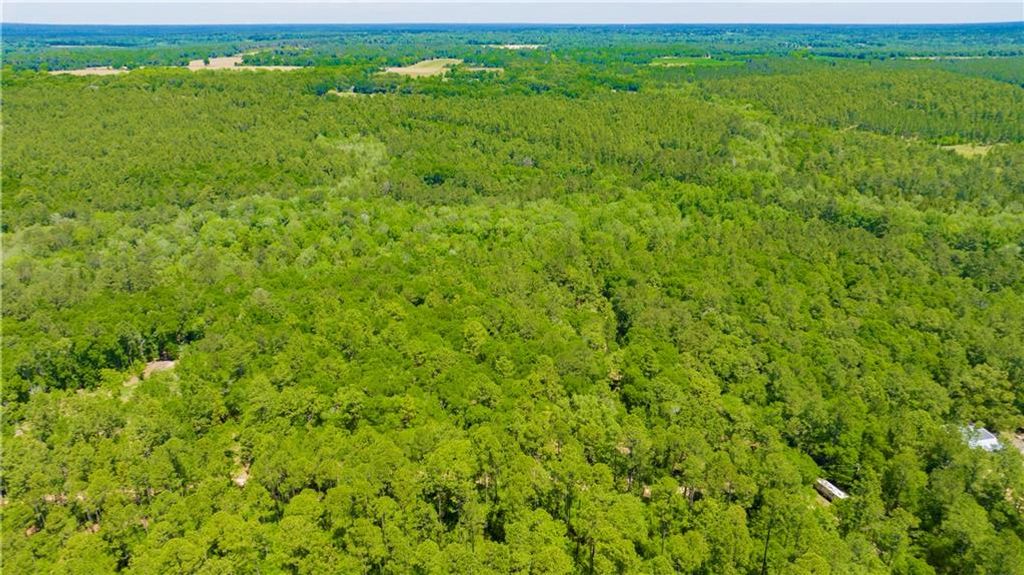 0 Howells Ferry Road, Wilmer, AL 36587 — photo 5