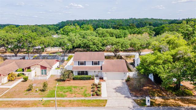 16203 FANTASIA DRIVE, Tampa, FL 33624