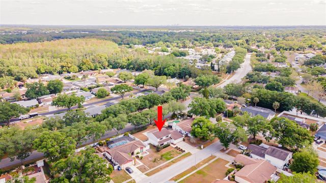 16203 FANTASIA DRIVE, Tampa, FL 33624