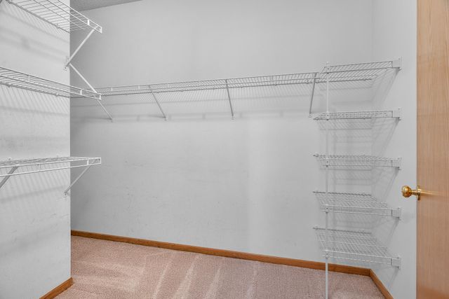 9909 Tamarack Cove, Woodbury, MN 55125