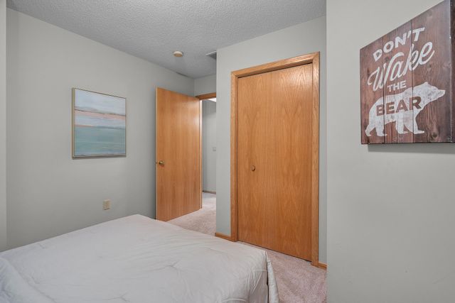 9909 Tamarack Cove, Woodbury, MN 55125