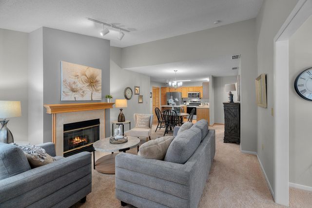 9909 Tamarack Cove, Woodbury, MN 55125