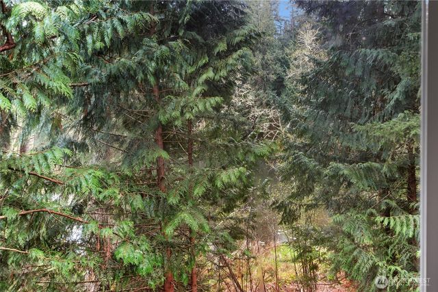 18715 Rampart Drive SE, Yelm, WA 98597