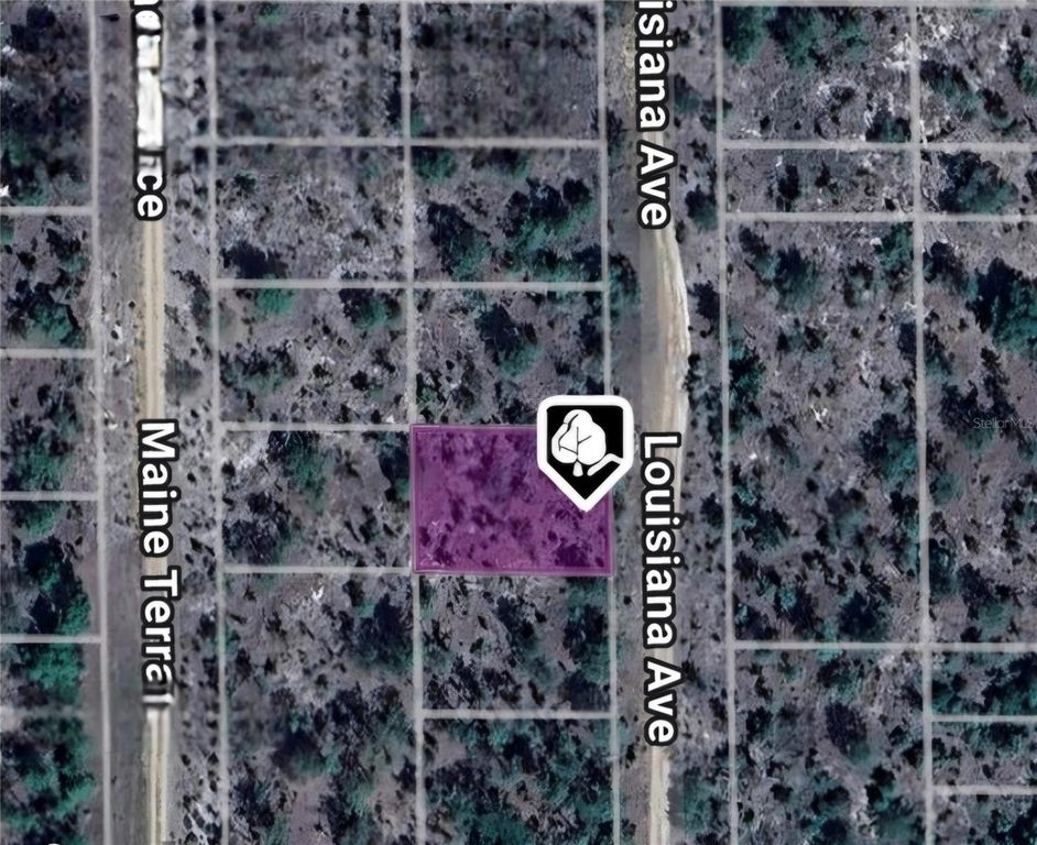 LOT 19 AND 20 LOUISIANA AVENUE, Hawthorne, FL 32640