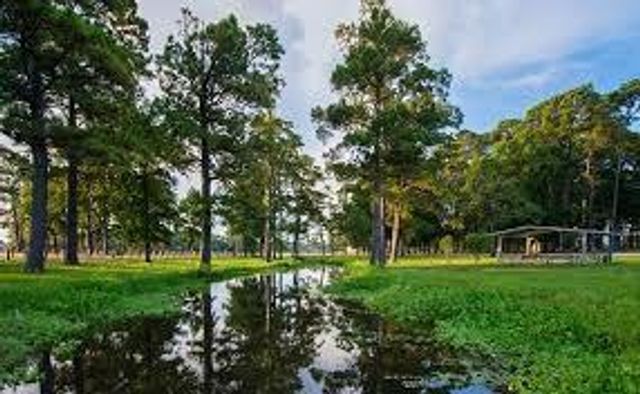 15710 Starcreek Lane, Houston, TX 77044