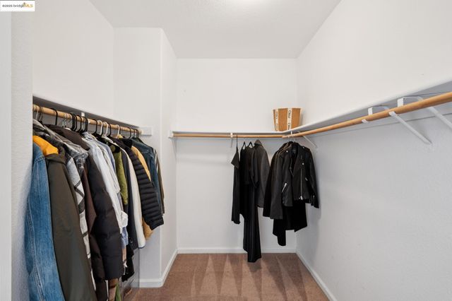 568 Cattail Ct, American Canyon, CA 94503