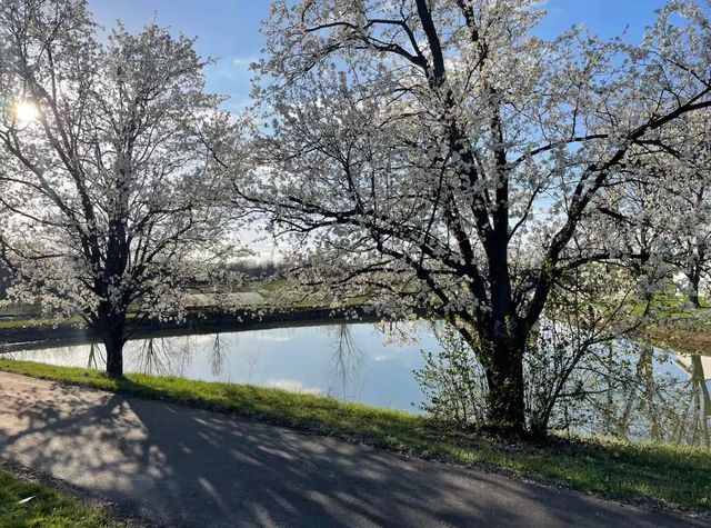 122 Wise Path, Georgetown, KY 40324