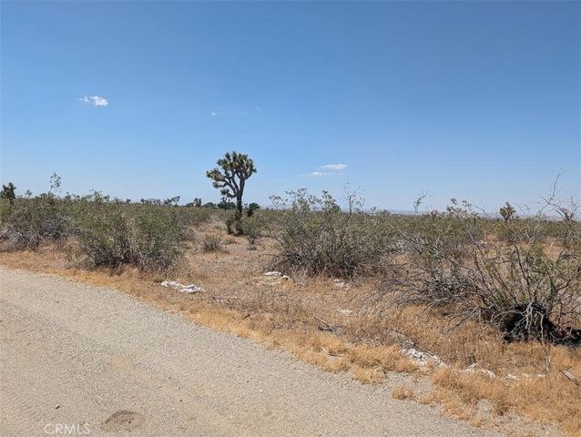 6 Dos Palmas, Pinon Hills, CA 92372