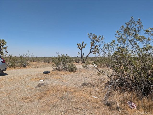 6 Dos Palmas, Pinon Hills, CA 92372