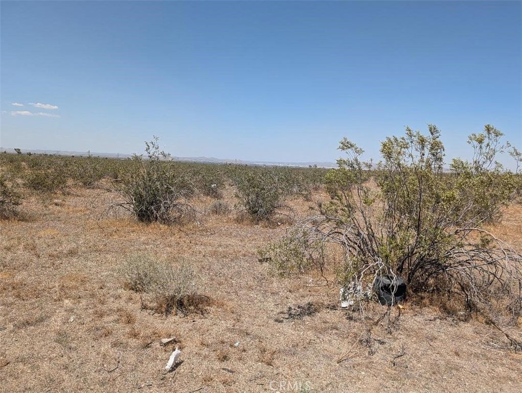 6 Dos Palmas, Pinon Hills, CA 92372