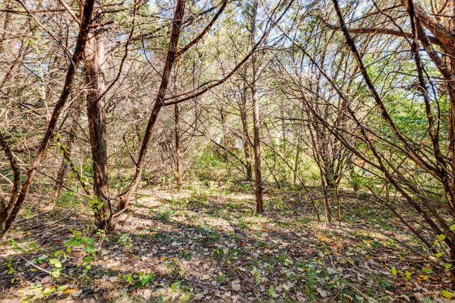 15104 S Flamingo DR, Austin, TX 78734