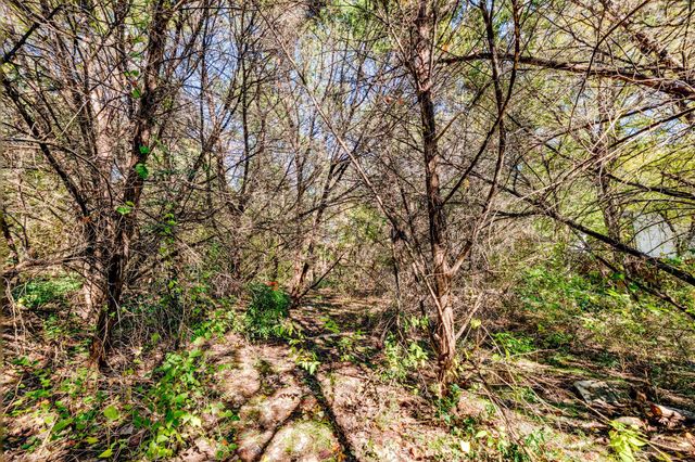 15104 S Flamingo DR, Austin, TX 78734