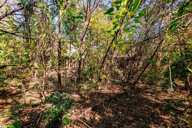 15104 S Flamingo DR, Austin, TX 78734