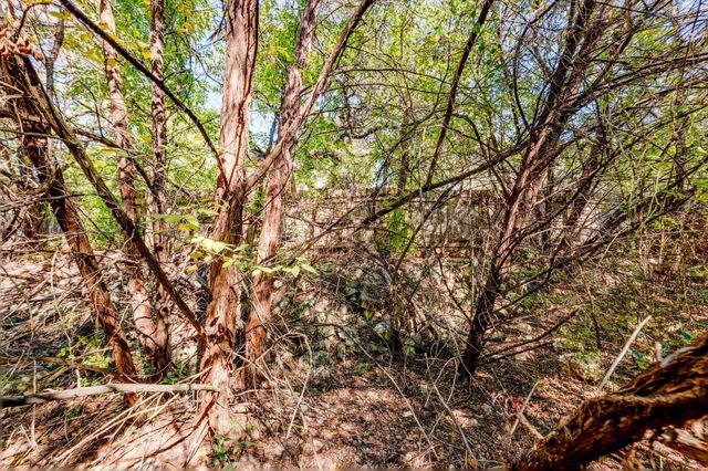 15104 S Flamingo DR, Austin, TX 78734