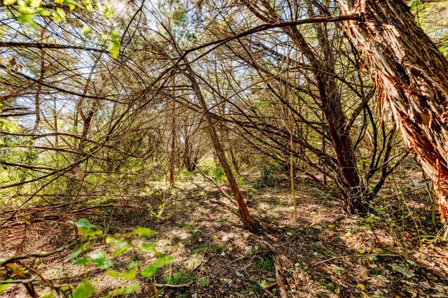 15104 S Flamingo DR, Austin, TX 78734