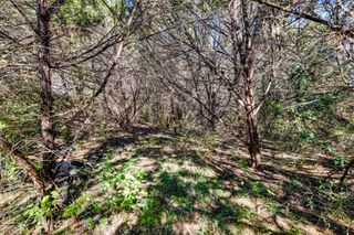 15104 S Flamingo DR, Austin, TX 78734