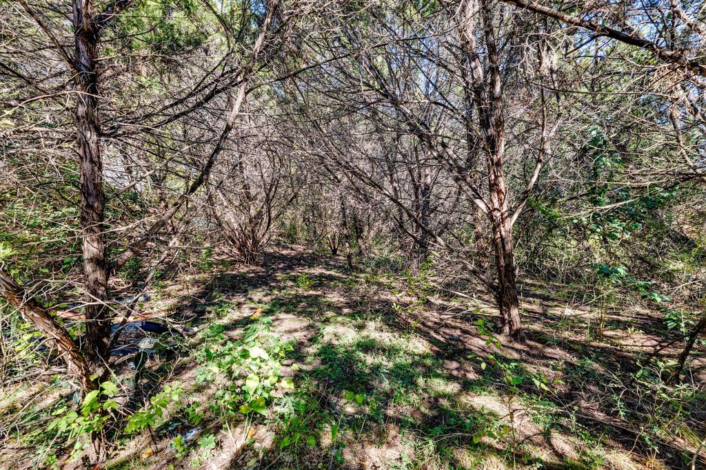 15104 S Flamingo DR, Austin, TX 78734