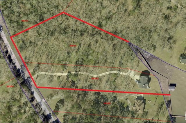 231 Ridge Cove Lane, Coldspring, TX 77331