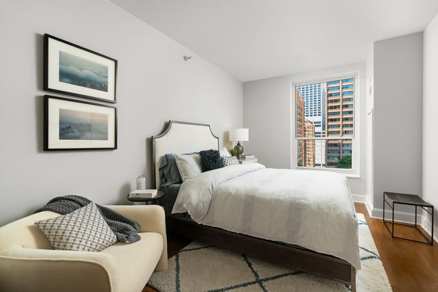 850 N Lake Shore Drive 707, Chicago, IL 60611