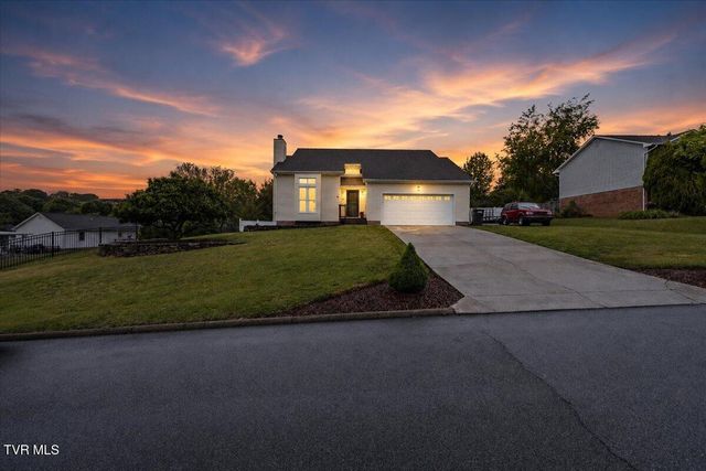 116 Lindsay Lane, Gray, TN 37615