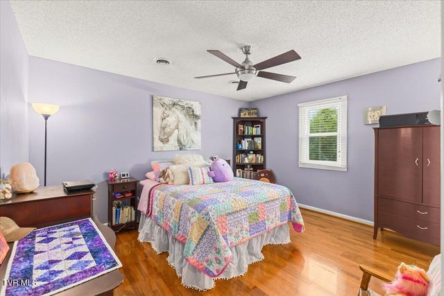 116 Lindsay Lane, Gray, TN 37615