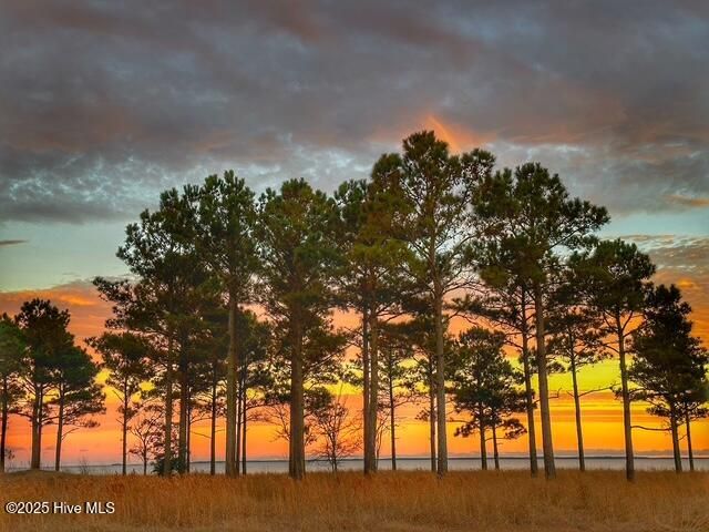 71 Jayne Point, Oriental, NC 28571