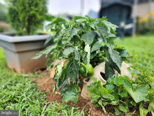 16 MILL ST, York, PA 17406