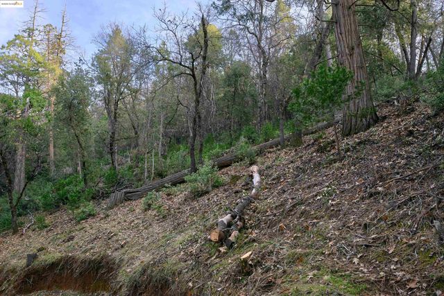 22608 Cedarcrest Rd, Sonora, CA 95370