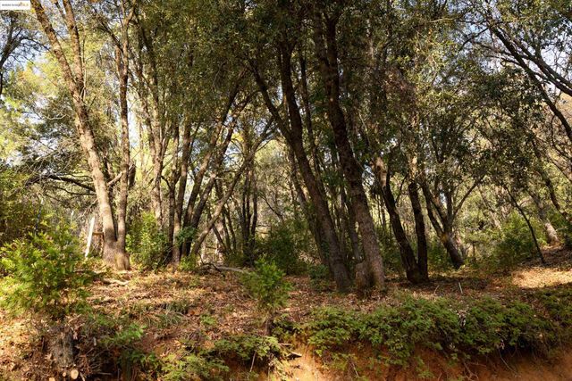 22608 Cedarcrest Rd, Sonora, CA 95370