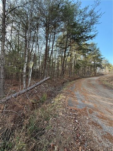 00 Woodall Mountain Road, Pickens, SC 29671