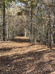 1 Cane Creek Road, Hohenwald, TN 38462