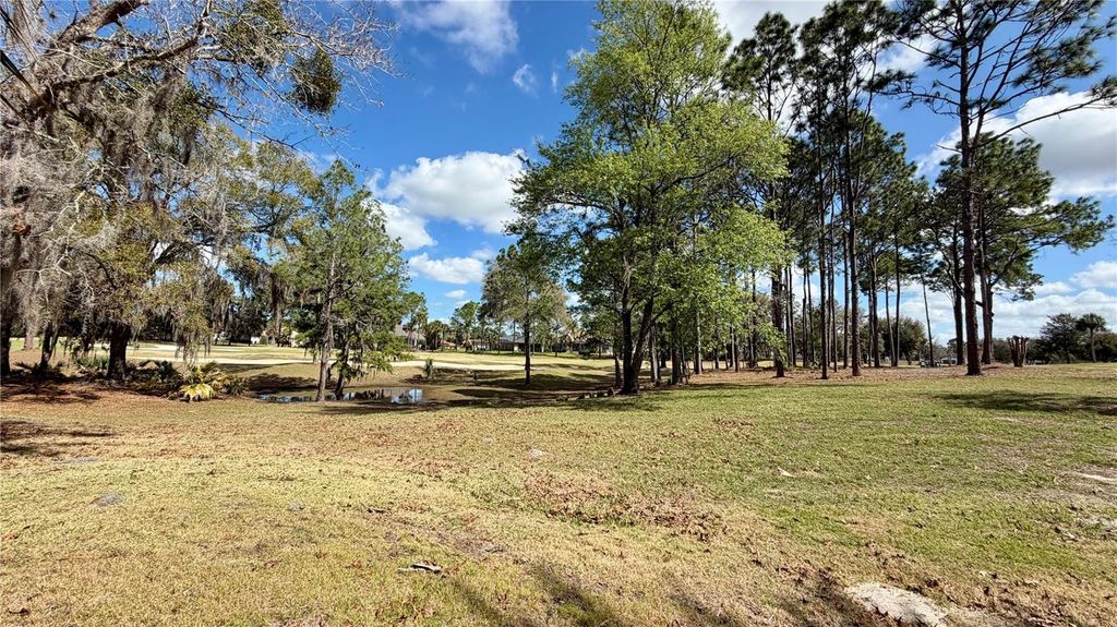 Image 53 of property listing at 6717 SW 179TH AVENUE ROAD, Dunnellon, FL 34432